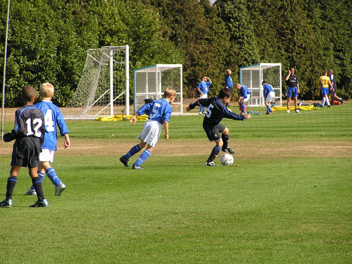 OLYMPUS DIGITAL CAMERA.jpg