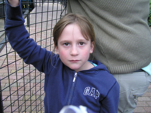 OLYMPUS DIGITAL CAMERA.jpg
