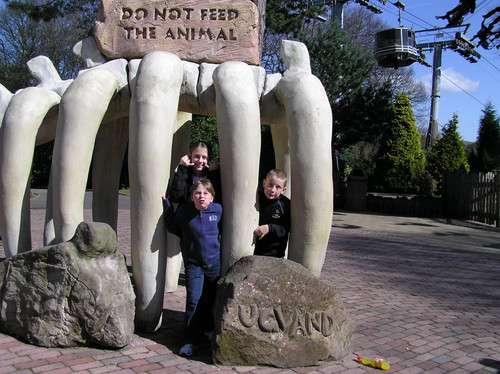 OLYMPUS DIGITAL CAMERA.jpg