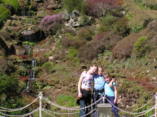 OLYMPUS DIGITAL CAMERA.jpg