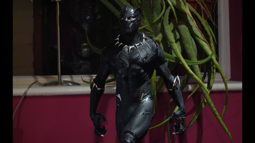 Black Panther 02.jpg