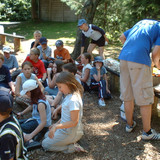pgl 136