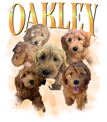 Oakley.png