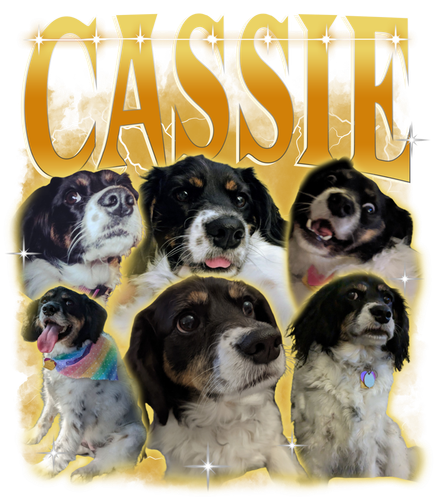 Cassie.png