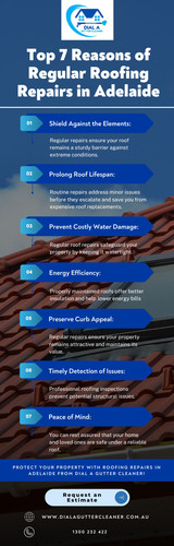 5 Myths About Vacuum Gutter Cleaning.jpg