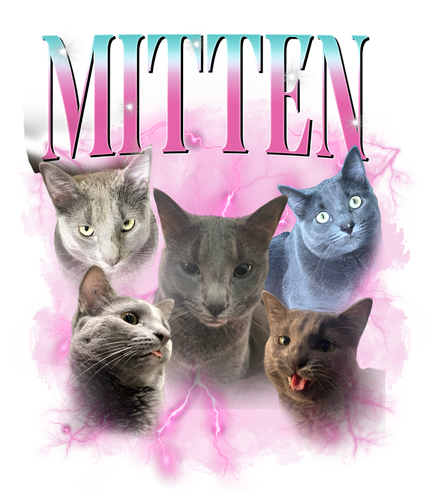 mitten.png