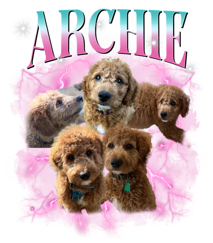 archie.png