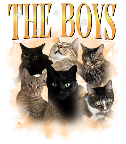 the boys.png