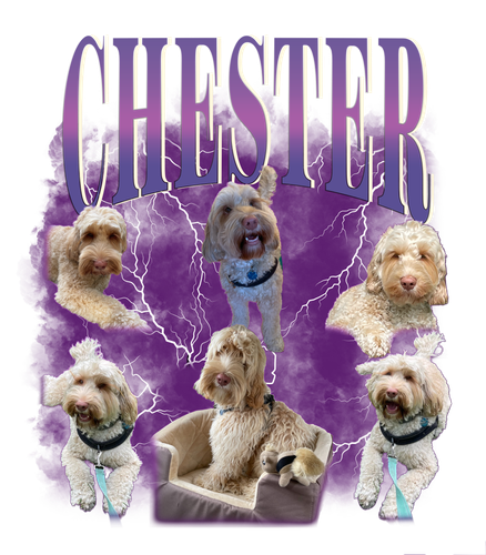 3091921797png.png