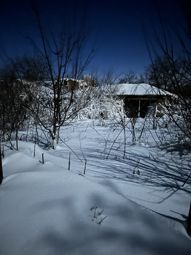 IMG 4895.jpg