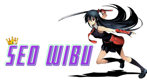 SEO WIBU.png
