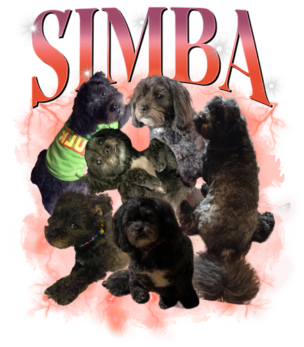 SIMBA.png