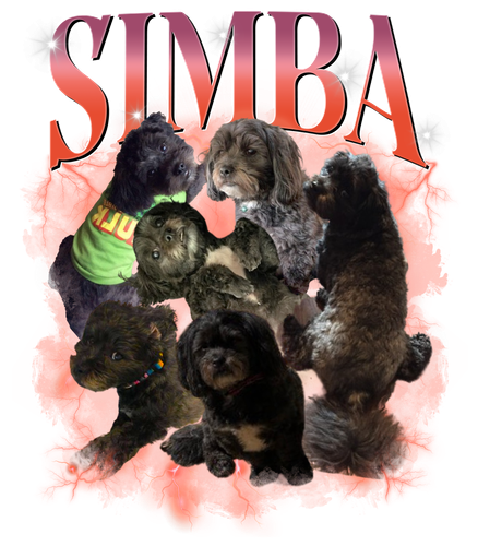 SIMBA.png