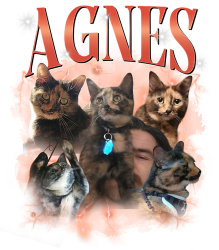 agnes.png