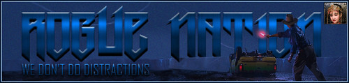 Flare Banner.jpg