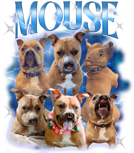 mouse 3096950429.png