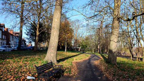 Spinney Hill Park - Leicester -25th November Saturday -2023.jpg