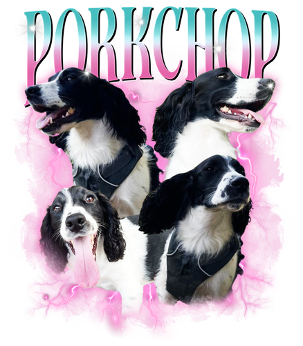 Porkchop.png