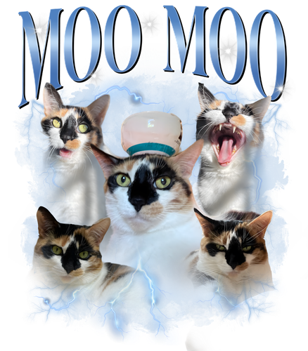 moo moo1.png