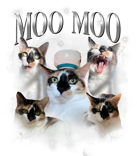 moo moo.png