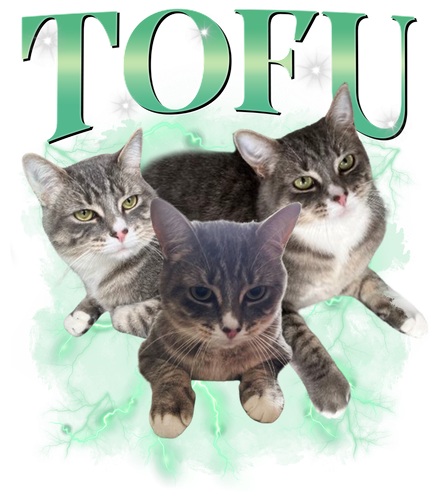 Tofu.png