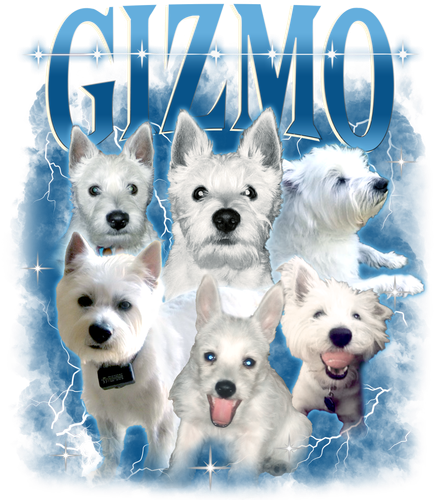 TieuPhiTieu 3091409354.png