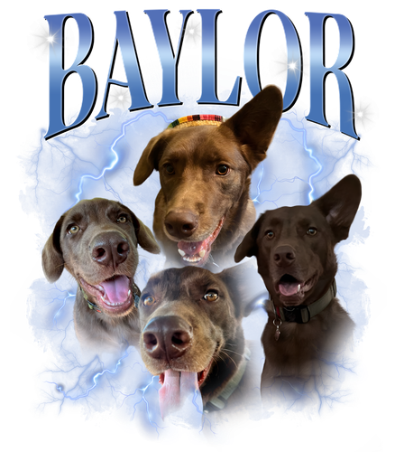 baylor.png
