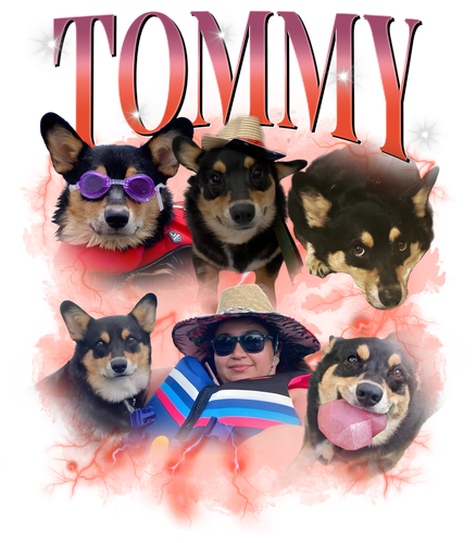 tommy.png