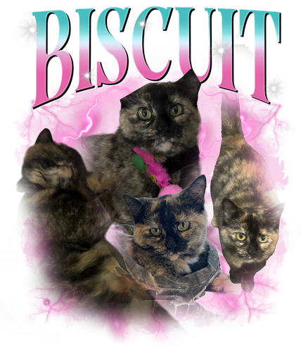 biscuit.png