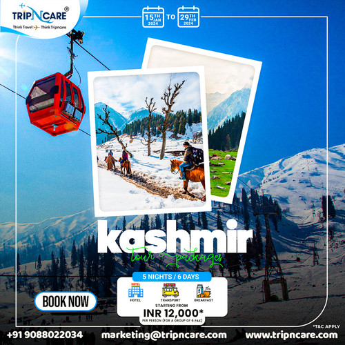 Discover the Beauty of Kashmir with Tripncare Holiday Package.jpg