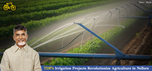 TDP's Irrigation Projects Revolutionize Agriculture in Nellore.jpg