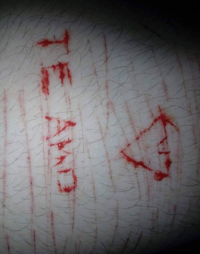 Screenshot 2023 11 24 02 41 54 394 com.miui.gallery edit.jpg