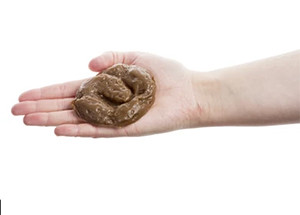 hand holding fake rubber excrement 260nw 162728075.jpg