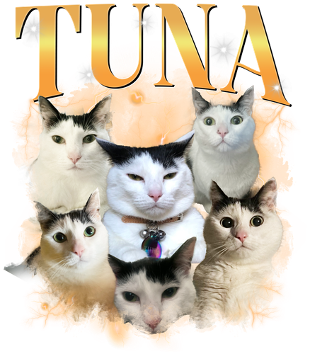 3100916264.png