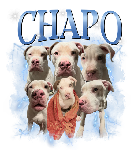 chapo.png