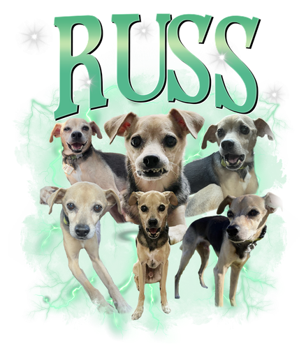 russ.png