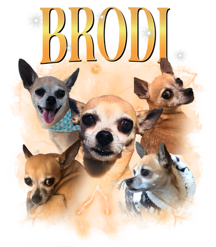 brodi.png