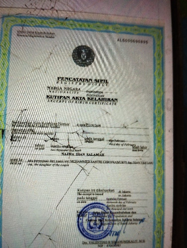 scaled 51d43e16 fd9d 4809 b33c 0b848e102045979611135568923312.jpg