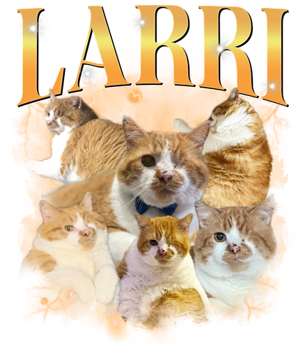 3101226696.png
