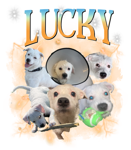 lucky.png