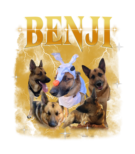 BENJI.png