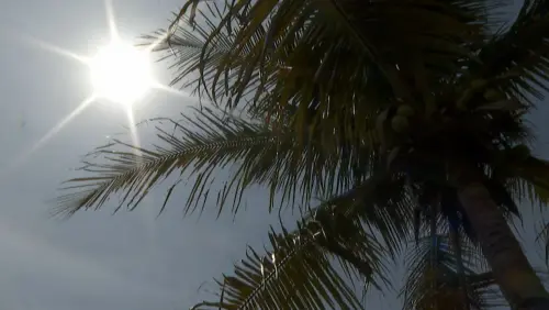 sol calor rp.webp