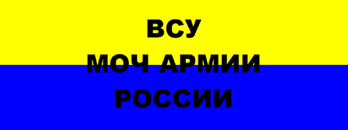 vsu rosii flag.jpg