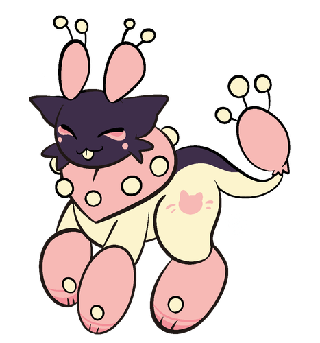 IMG 2695.png