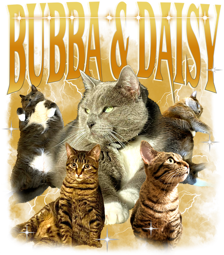 TieuPhiTieu 3088636534.png