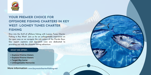 Your Premier Choice for Offshore Fishing Charters in Key West Looney Tunes Charter Fishing.png