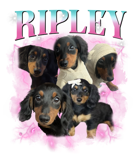 ripley.png