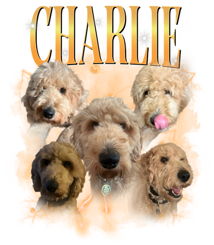 chảlie.png