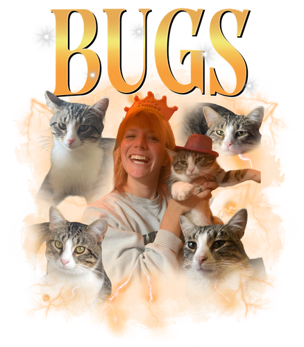 bugs.png