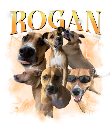 rogan.png